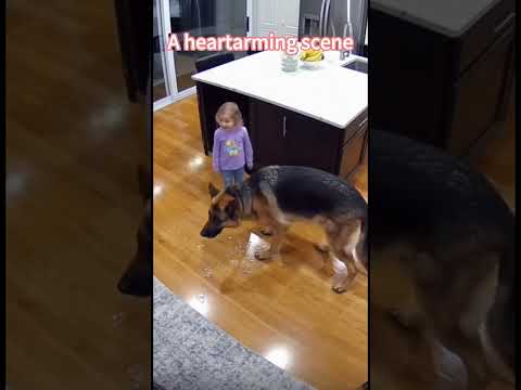 Phillies land All-Star closer Jhoan Duran ahead of MLB trade deadline 👀🔥 #JhoanDuran