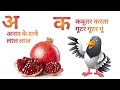 वीडियो ट्यूटोरियल क्विज