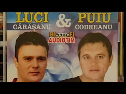 Puiu CODREANU -  Luci CARASANU -  melodia mirilor
