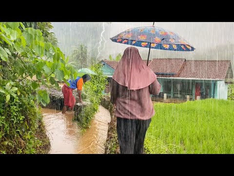 SUASANA SORE YANG TENANG, HUJAN TURUN DI KAMPUNG NAMBAH BETAH, HAWA DINGIN PEDESAAN SUNDA JAWA BARAT