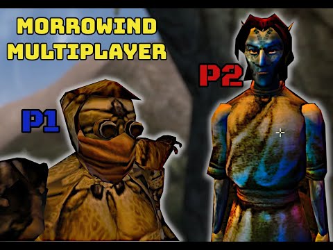 #morrowind is MULTIPLAYER NOW? 😱 w/ @itbeginsmusic