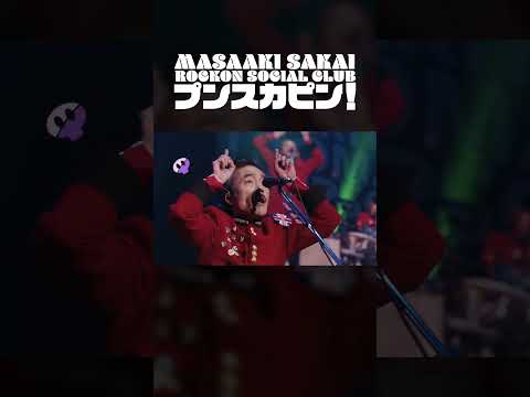 #プンスカピン!#堺正章#RockonSocialClub #踊ってみた#プンスカダンス #Shorts