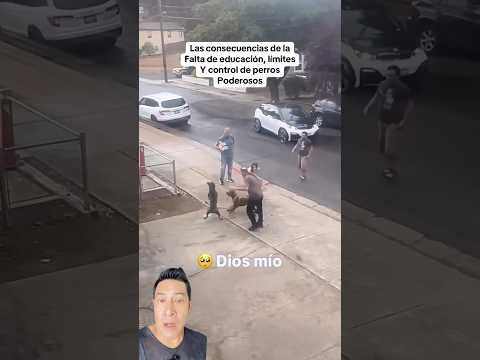 Lamentable final #dogs #perrospoderosos #pitbull