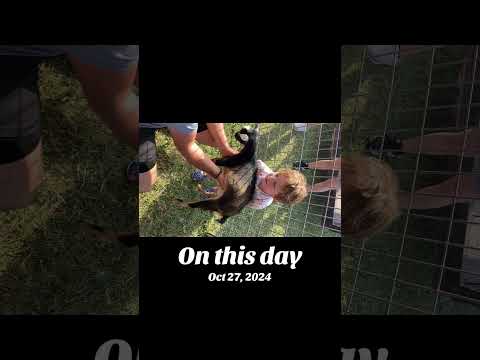 We Love Animals! #animals