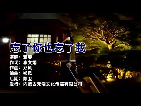 忘了你也忘了我-蒋婴-主唱 KARAOKE-伴奏 KARAOKE