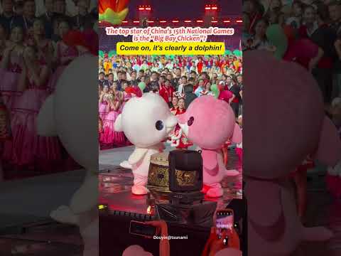 The top star of China's National Games is the “Big Bay Chicken”? Come on, it’s clearly a dolphin!