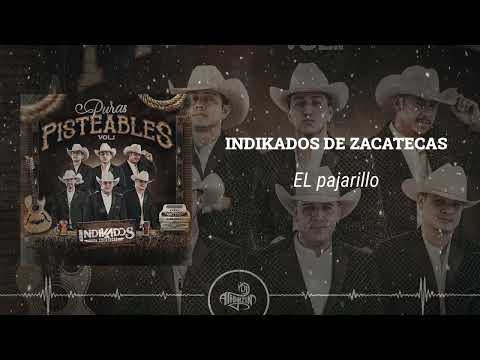 Indikados de Zacatecas - El Pajarillo (En vivo 2025)