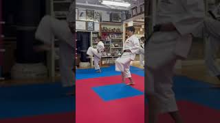 Hanshi Nobuko Oshiro, 9th Dan Dojo “Taishinkan” Basic Movement Training  #shorts