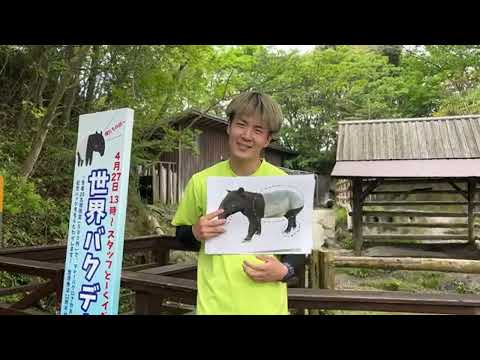 【LIVE】世界バクの日 World Tapirs' Day