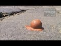 Melbourne Heat and Chocolate Reactions