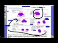 Ozone Depletion and CFCs