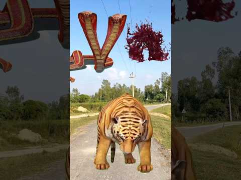 एक राम भक्त की कहानी 🚩🙏🏼जय श्री राम 🙏🏼🙏🏼#shortvideo #trending #viralvideo #shorts