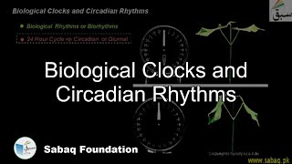 Biological Clocks and Circadian Rhythms