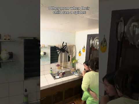 Other mom vs my mom when see a spider: #funny #funnymemes #comedy #comdeymemes #funnyimages