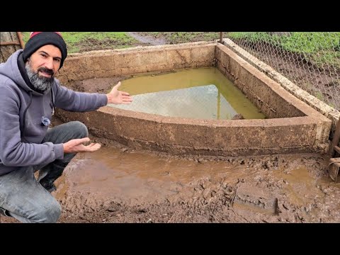 اليوم شتريت حمص للزراعة وقلمت شجرة البرتقال وعملت مكان دافي حتى البط يبيض