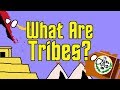 Understanding Tribes and Their Evolution
