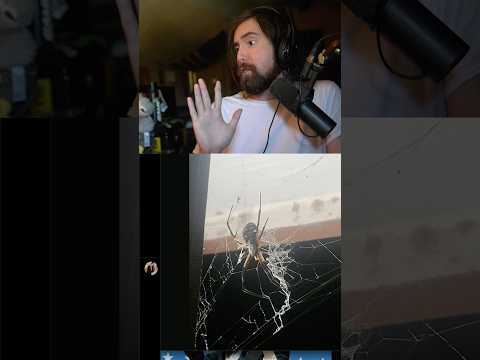 Asmongold <strong>Got</strong> A New Pet
