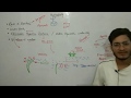Hydrophily and Aquatic Plant Pollination