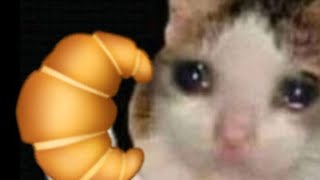 molen meme 🥐 1 hours