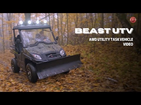 Beast UTV with AWD | Video