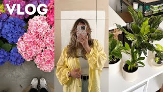 VLOG | Je suis maintenant une plant mom!!! 🪴Haul de mes achats, fish & chips et plus!