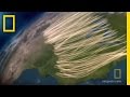 Monarch Butterfly Migration and Behavior