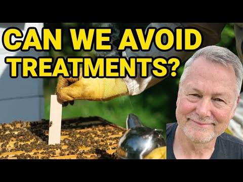 Beekeeping Without Treating For Mites! Good or Bad?