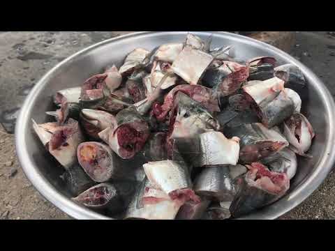 Fish elmotion fertilizer ( fish amino acid made )