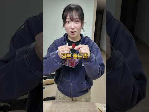 레고 할 때 가장 기분 좋을 때는?