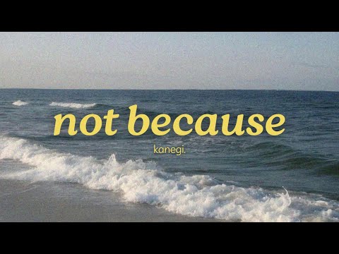 kanegi. - not because (official lyric video)