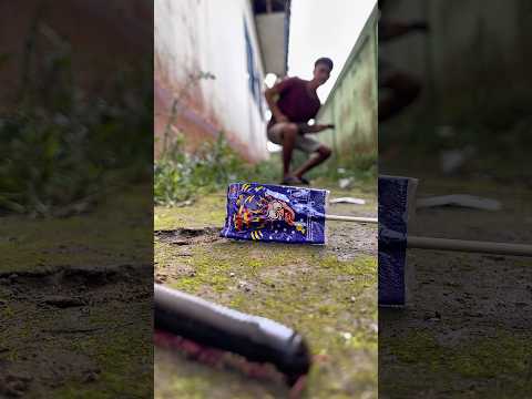 Don’t hide, I saved your favorite candy, just for you.#shortvideo#millipedes