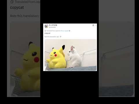 <strong>real</strong> life pikachu!
