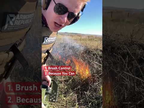 ¿Cuál de estas 3 razones te convence para querer un lanzallamas Pulsefire?