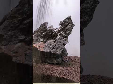 Advice for Iwagumi Aquascapes ​@MJAquascaping shares tips for making a sloped Iwagumi aquascape!
➡ Seiryu stone_ https_//brs.l