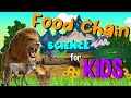 Food Chains and Ecosystem Roles