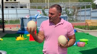 видео