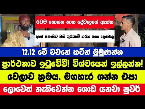 ඇස් පනාපිට ගුරුකම් කරන නාග දේවාලේ ඇත්ත | නයි පවා එන අභිරහස් දේවාලයේ හාස්කම් මෙන්න | Ushan Vlogs 🙏