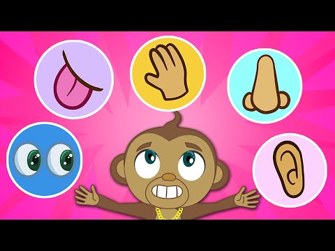 5 Senses Song + Songs For Babies By Annie And Ben