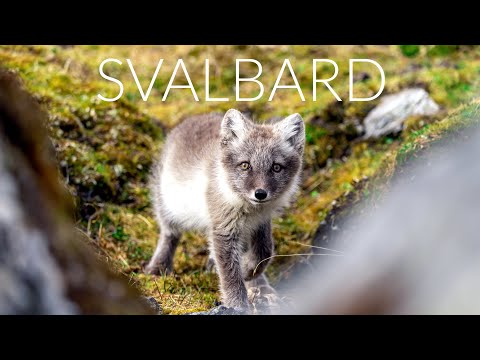SVALBARD - Cinematic 4K DRONE Video