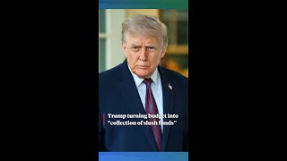 Trump turning budget into a “collection of slush funds”