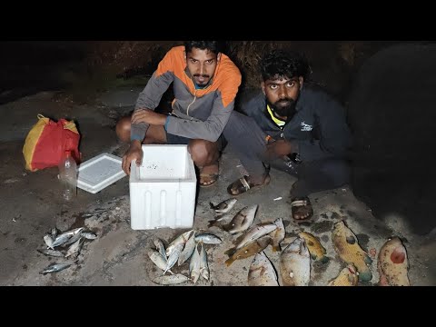 नवीन ठिकाणी पकडले रात्रीचे गरवून मासे | कोकणातील मासेमारी | Traditional fishing kokan @TejaGurav