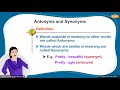 Antonyms and Synonyms Overview