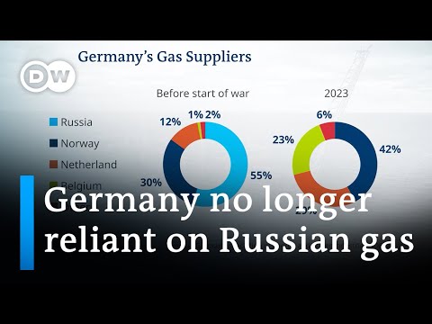 Germany marks year since final Russian gas delivery | DW News