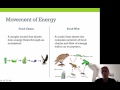 Ecosystem Interactions and Energy Transfer