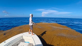 Solo Bluewater Fishing - Run & Gun - Catch Clean Cook