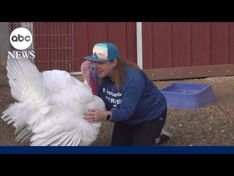 YouTube video thumbnail: Why Some People Are Adopting Turkeys Instead of Eating Them