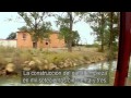 Comprensión del Video Tutorial
