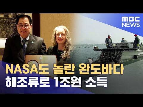 NASA도 놀란 완도바다..해조류로 1조원 소득 (2023.11.06/뉴스데스크/목포MBC)