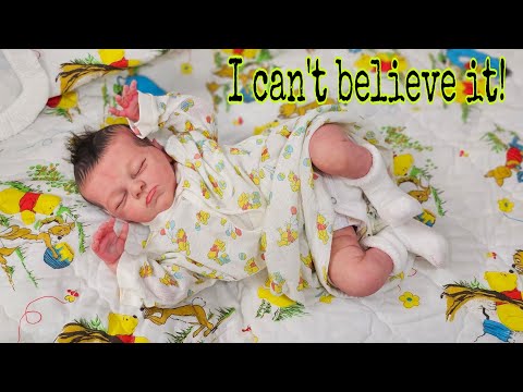 My nanny CHEATED & got caught! Changing reborn doll| SPECIAL guest back| Nlovewithreborns2011