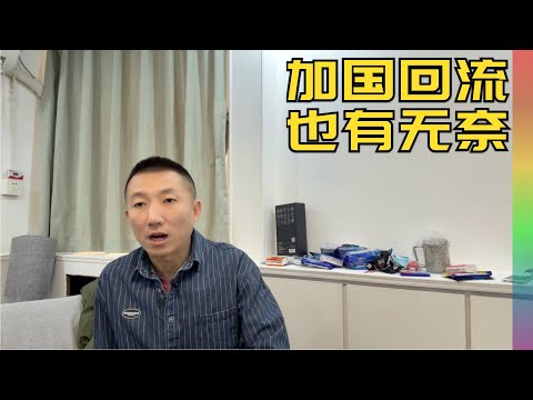 留学加拿大16月后我选择回国,为何难适应?回来面临更多无奈和苦衷 | 回流 留学 海归 35岁魔咒【北同】